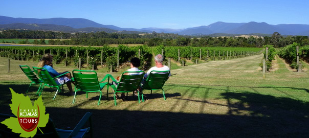 yarra valley wine tour chandon